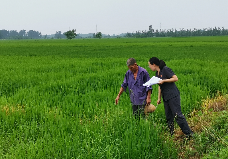 7月27日 新沂法院馬陵山法庭田間地頭巡回審理土地承包糾紛案，庭審前，法官王雪蓮前往爭議地塊現(xiàn)場調查，組織雙方當事人就爭議地塊的位置分別進行確認、測量記錄，便于充分了解爭議地塊現(xiàn)狀以及矛盾糾紛爭議點2.jpg