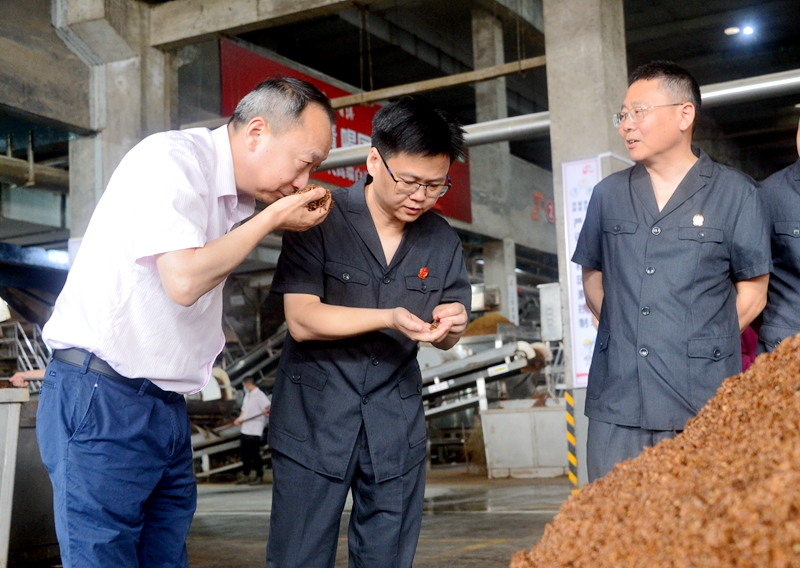 韓俊院長到企業(yè)調(diào)研 - 副本.jpg